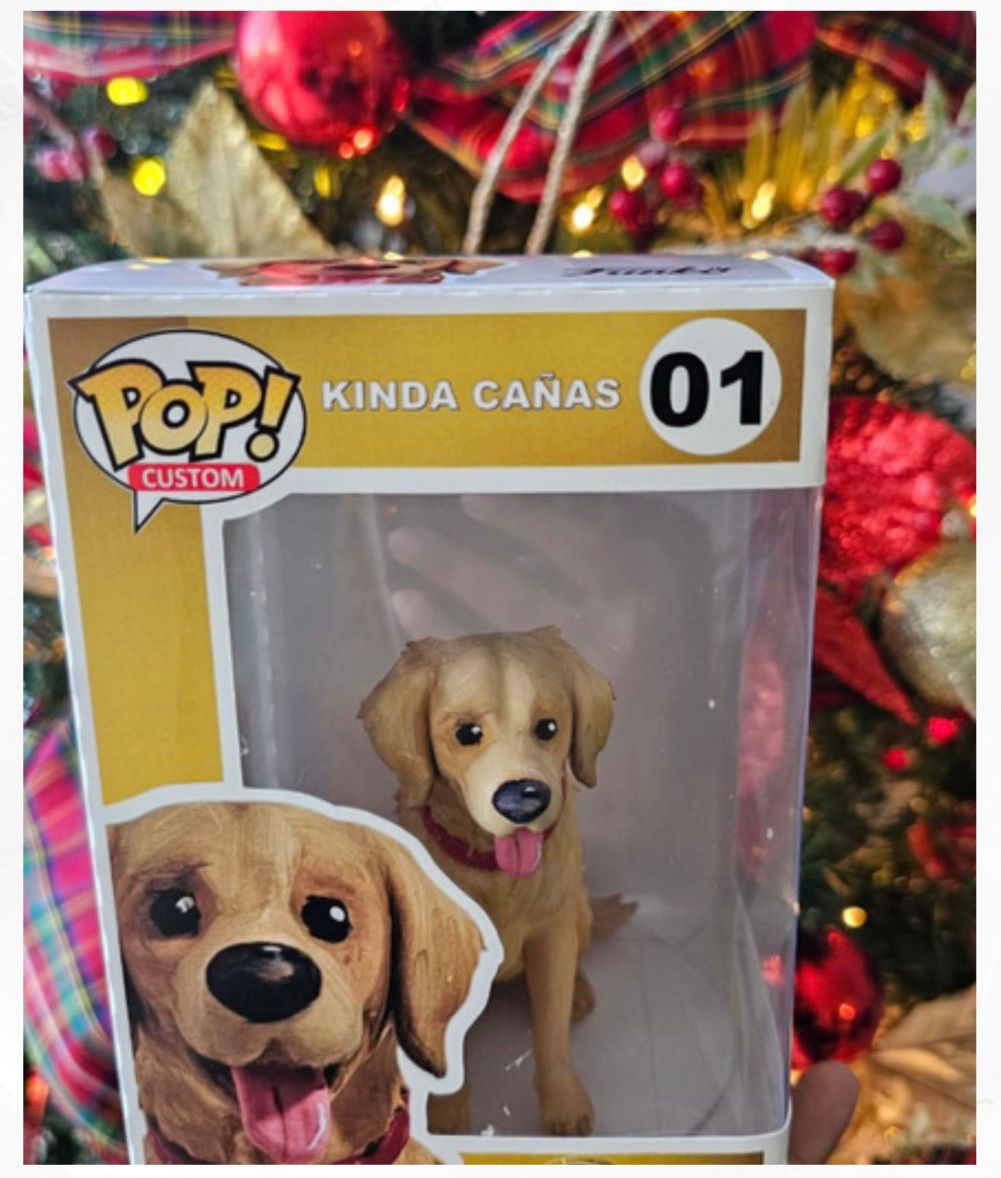 Mascota 2