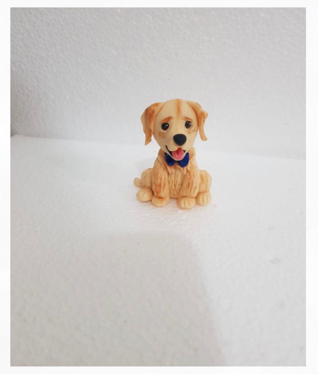 Mascota 4